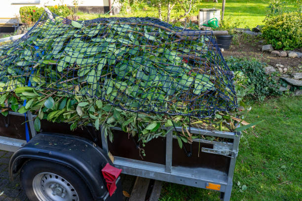 Best Shed Removal  in Colstrip, MT